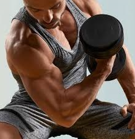 dumbbells bricep curl