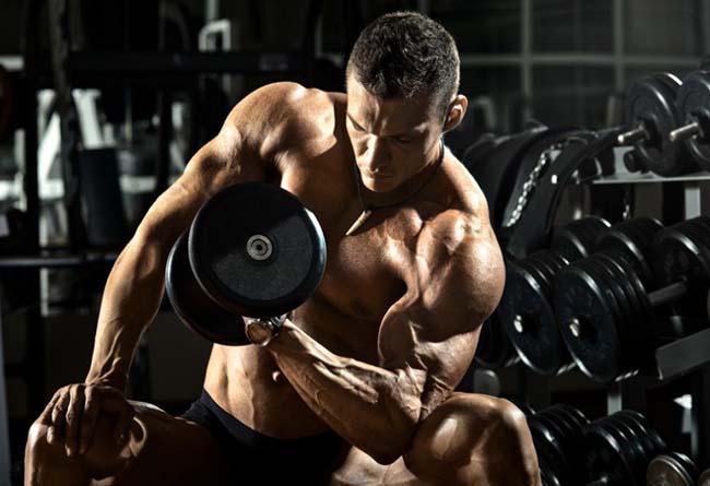 How to Do Concentration Curl?