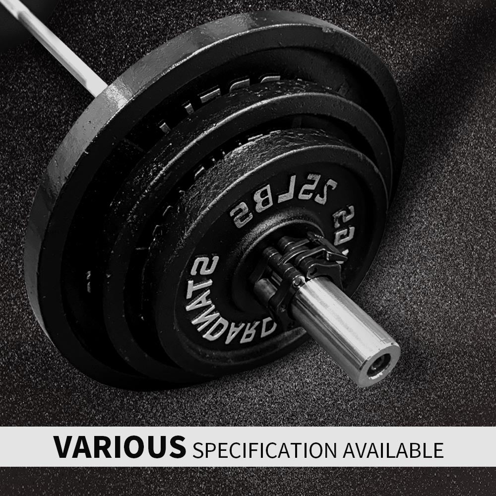cast iron barbell IFAST