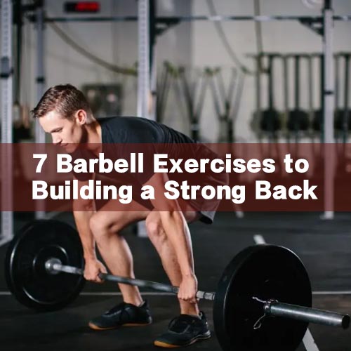 8 Barbell Rows Exercises to Building a Strong Back