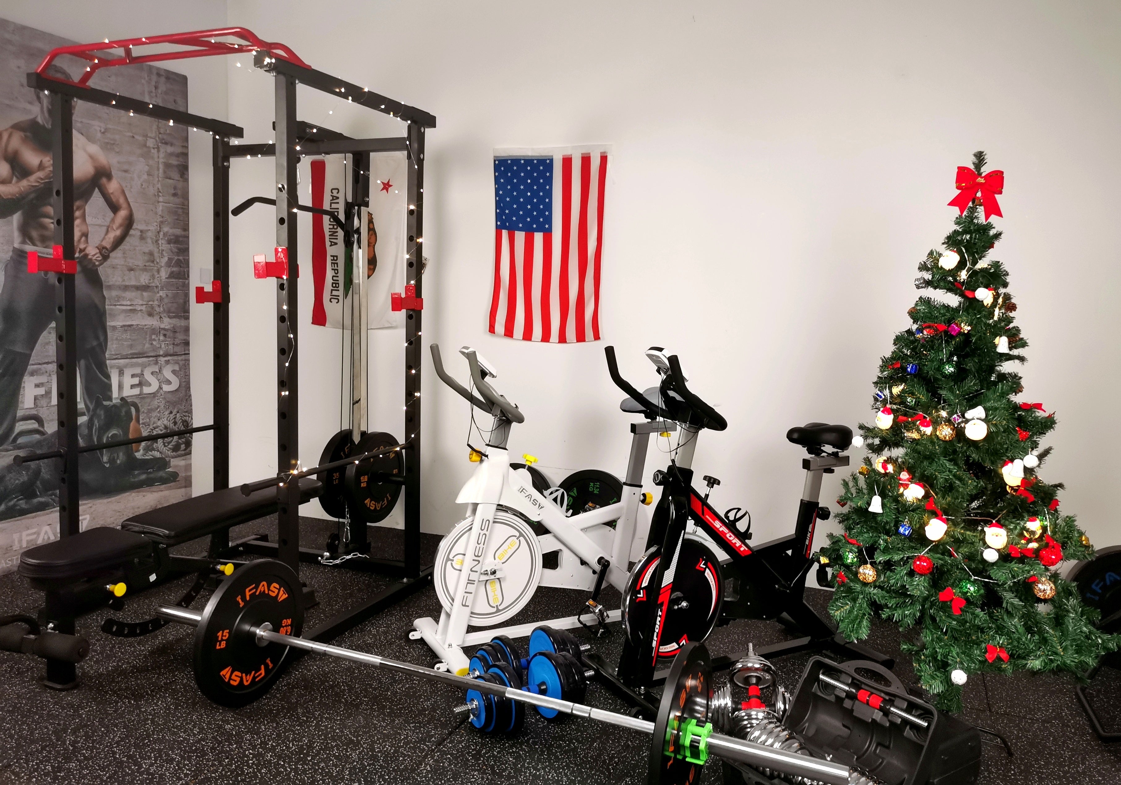 IFAST Christmas home gym