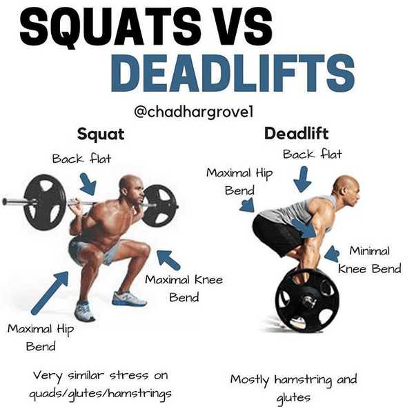 Deadlift Vs Squat