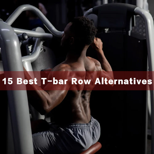 15 T-bar Row Alternatives