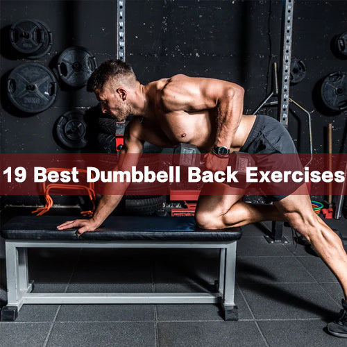 19 db back exercises