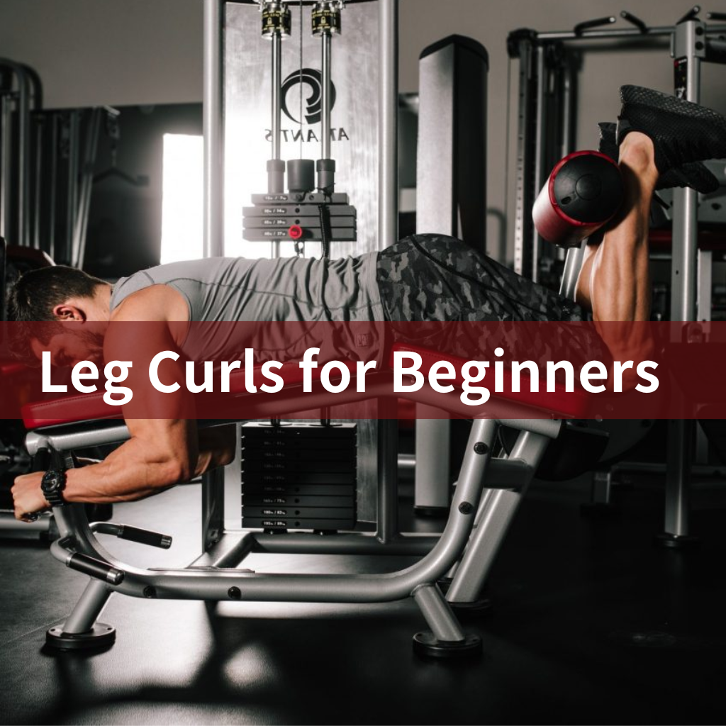 Leg Curls for Beginners: Strengthen Your Hamstrings Leg Curls for Beginners: Strengthen Your Hamstrings