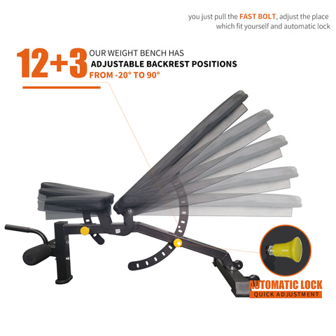 IFAST 12+3 adjustable weight bench