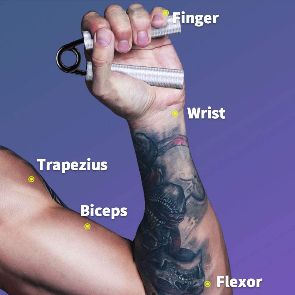 hand grippers workout muscles